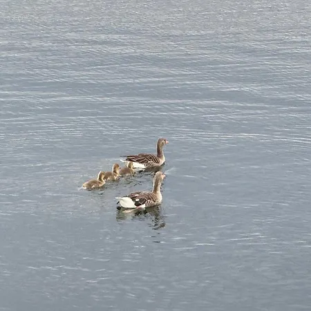 Botel Hausboot Komet Luxus Und Pur Max 5 Pers *