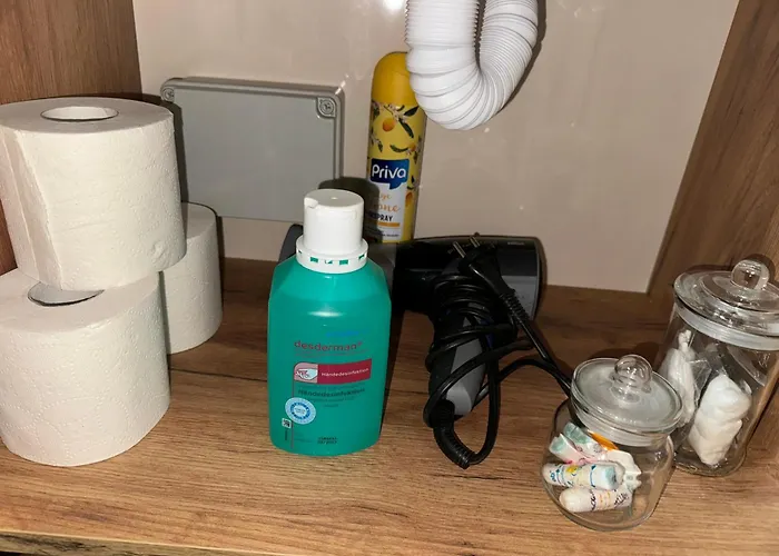 Hausboot Komet Luxus Und Pur Max 5 Pers * Maasbommel