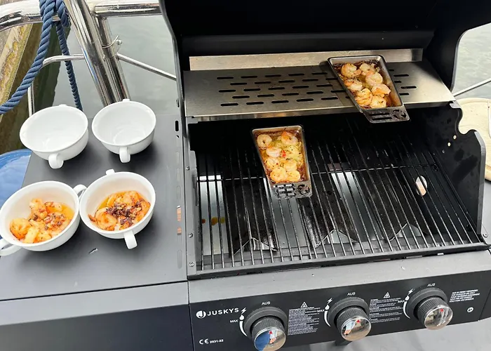 Bådhotel Hausboot Komet Luxus Und Pur Max 5 Pers Maasbommel